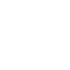drone pilot logo white