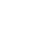 pilot logo weis