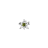 Heartbeat Edelweiss Silhouette