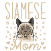 Siamese Cat Siamese Cat