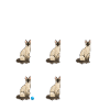 Siamese Cat Siamese Cat