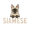 Siamese Cat Siamese Cat