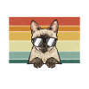 Siamese Cat Siamese Cat