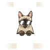 Siamese Cat Siamese Cat