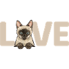Siamese Cat Siamese Cat