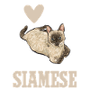 Siamese Cat Siamese Cat