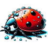 Ladybird