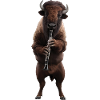 Bison Klarinette
