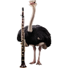 Strauß Klarinette