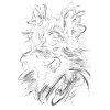Berger Allemand Art Dessin Abstrait