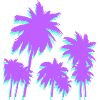 Palm trees