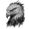 Abstract Eagle Animal Drawing Illustration