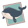 Marine Life Fin Whale