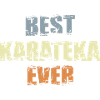Best Karateka