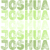 Gift for Joshua