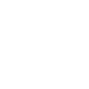2029