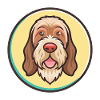 Spinone Italiano Dog Breed Cartoon Kawaii Clipart