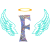 Ange F E 45