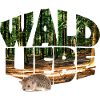 wald 20 waldliebe mit igel
