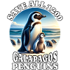 Save Galapagos Penguin