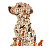 Dog Friend