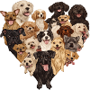 Dog love