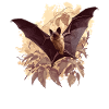 Bat Bats Bat