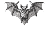 Bat Fledermäuse Fledermaus