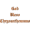 GodBlessChrysanthemums