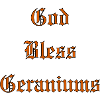 GodBlessGeraniums