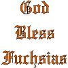 GodBlessFuchsias