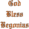 GodBlessBegonias