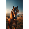Pferd