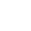 Ziggy