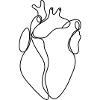 Human Heart