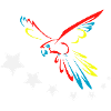 Drapeau de l’ara