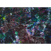 Lost in Universe