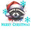 X Mas Waschbär