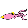 funny squid
