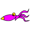 Squid Shirts