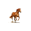 Running horse in motion