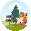 Bear wanders