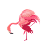 Flamingo Setting