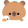 Natation Capybara