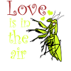 Praying Mantis Love