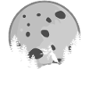 Praying Mantis with Moon