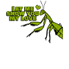 Praying Mantis Love Joke