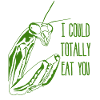 Praying Mantis Joke