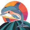 Dolphin Sea Creatures Sea Creatures