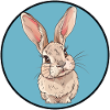 Rabbit tooth Easter
